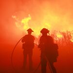 Adrien Brody Tears Up Over L.A. Fires at New York Film Critics Circle Awards